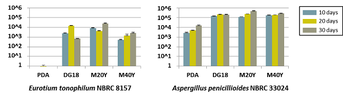 図3:好ちょう性菌株の総胞子量