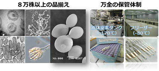 8万株以上の品揃え、万全の保管体制