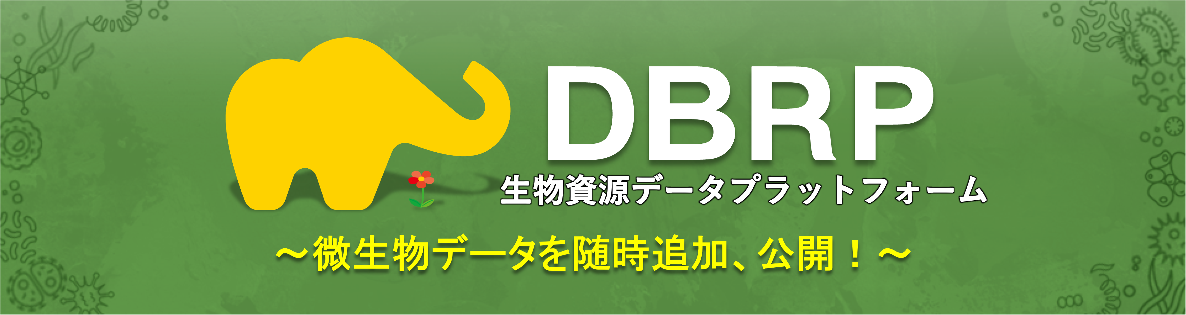 DBRP 生物資源データプラットフォーム ~微生物データを随時追加、公開！~