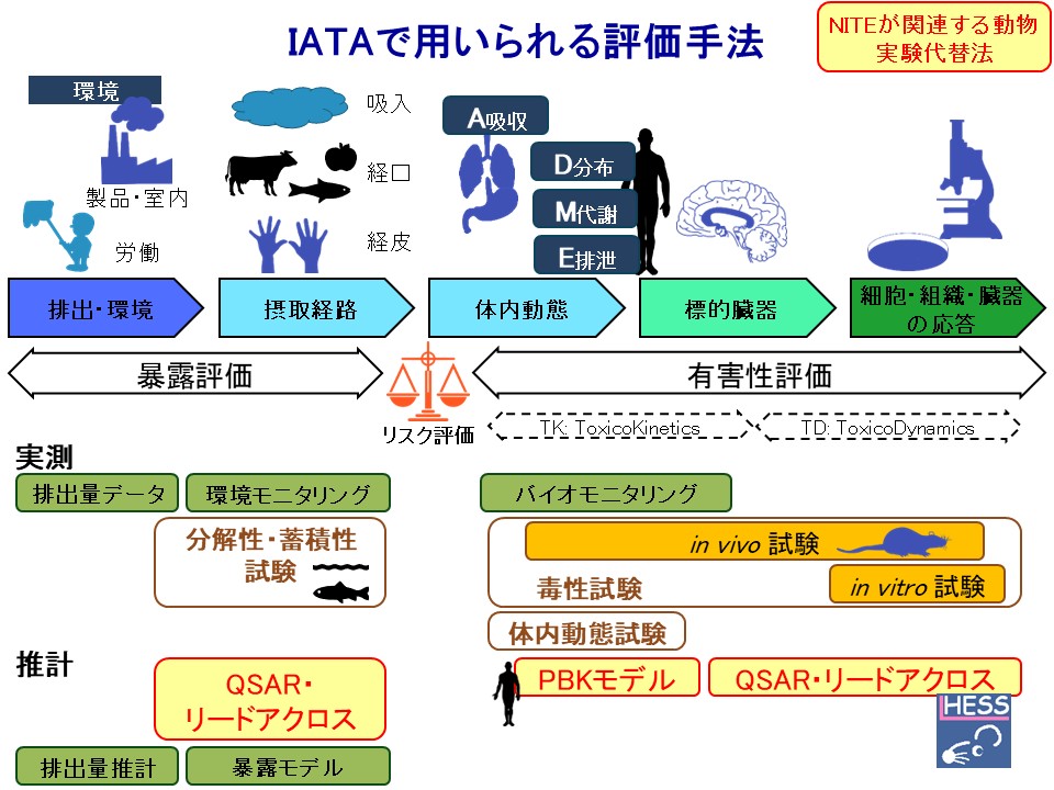 本図は、IATA（Integrated Approaches to Testing and Assessment：統合的試験・評価アプローチ）において用いられる評価手法の全体像を示しています。