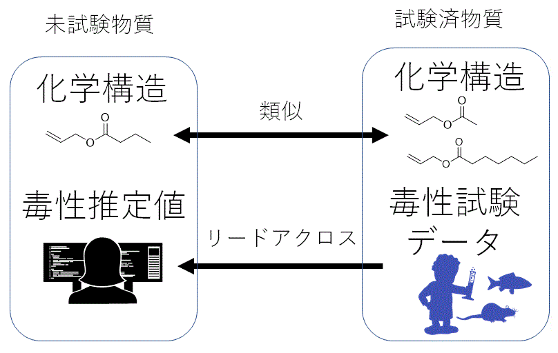 リードアクロスの説明図です。リードアクロスは、未試験化合物と同じ置換基を持つなど「類似する」試験済み化合物の毒性試験データから、未試験化合物の毒性を推定する技術です。