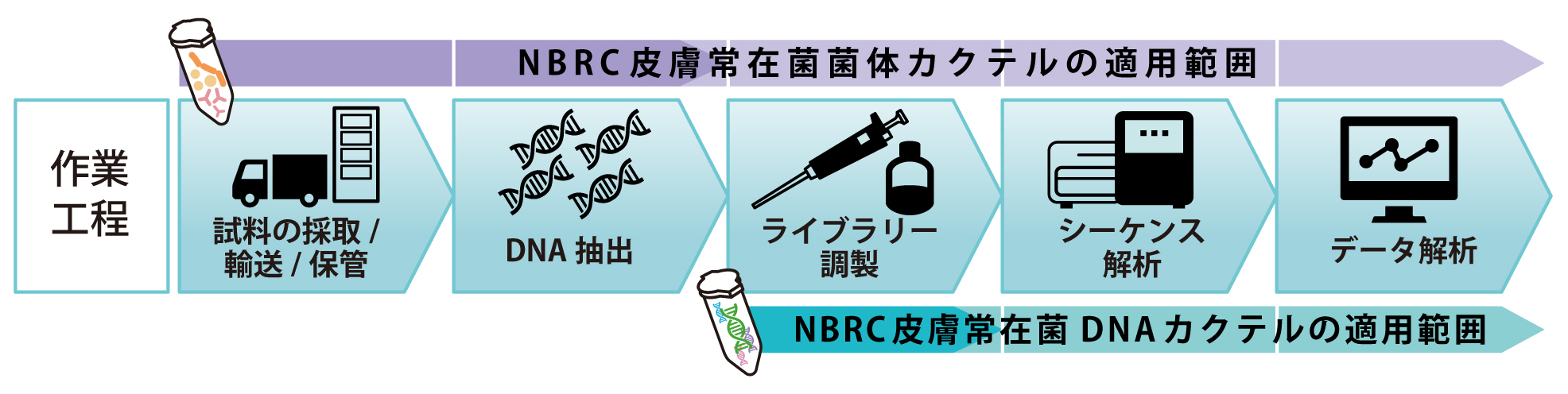 NBRC皮膚常在微生物カクテルのアプリケーション例の図です。