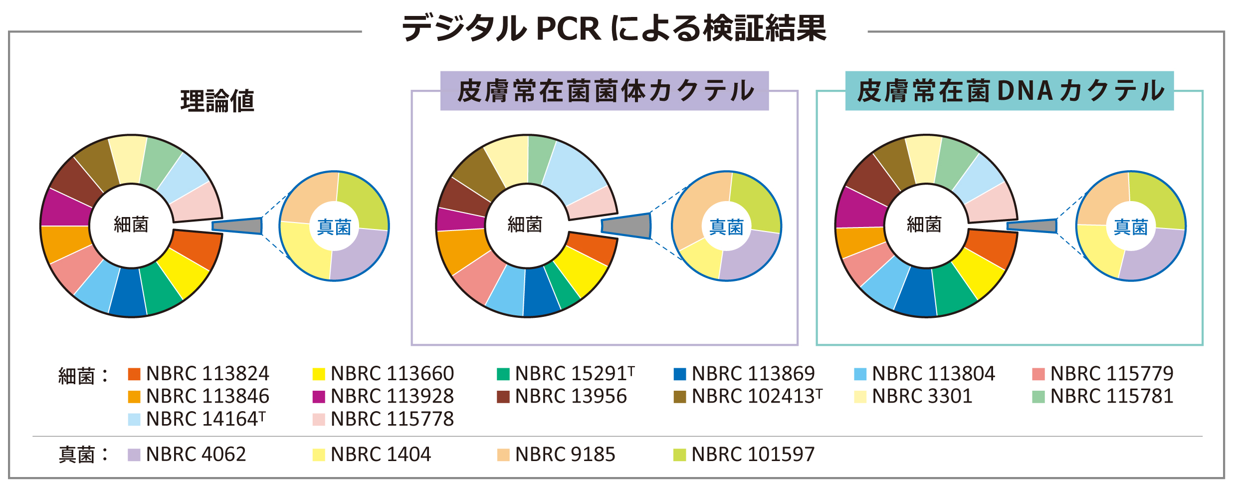 NBRC皮膚常在微生物カクテルをデジタルPCRで品質確認した図です。