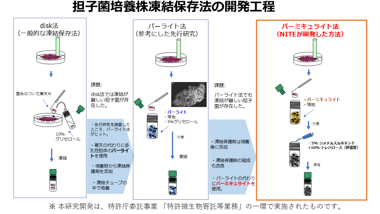 図5．担子菌培養株凍結保存法の開発工程の図説。