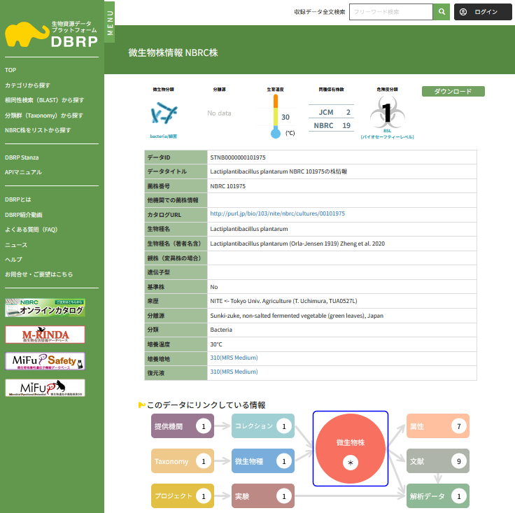DBRPのデータ表示画面