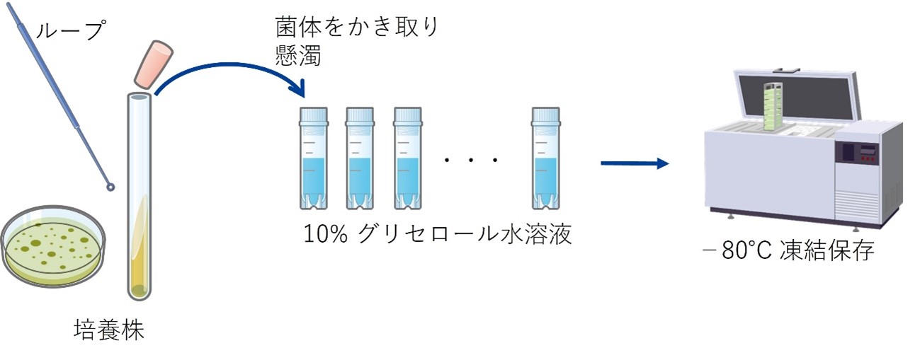 メルマガ92号_記事2_画像2