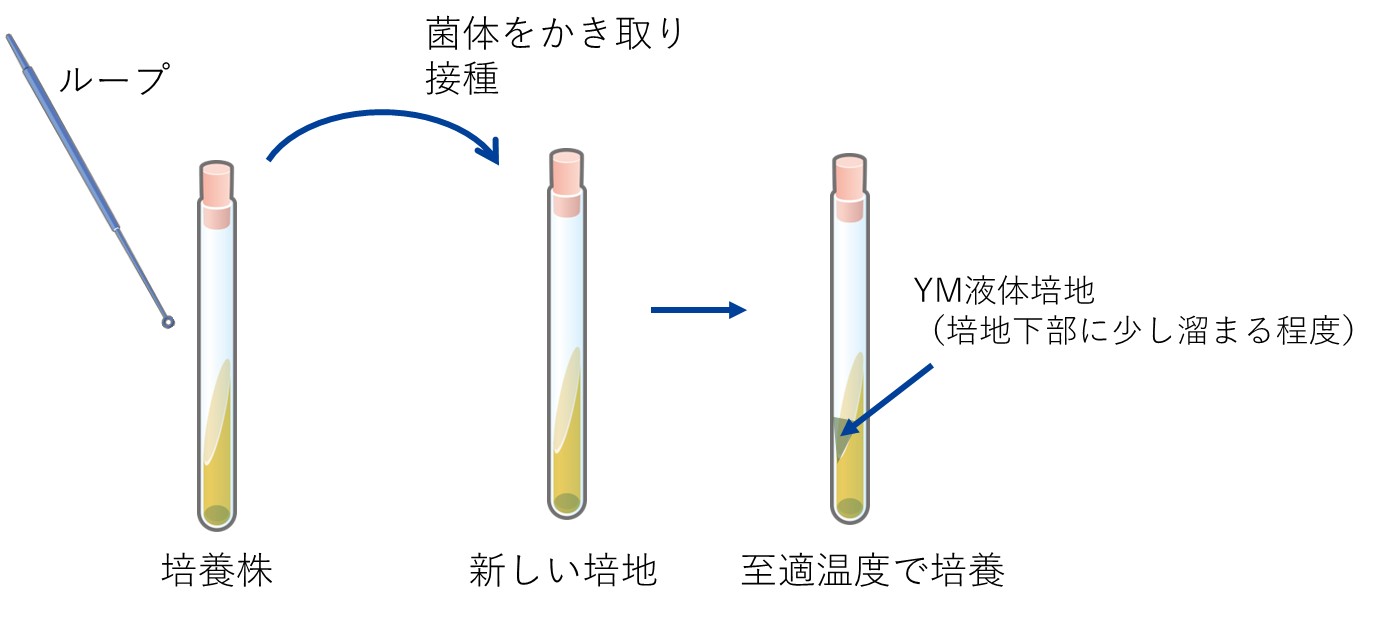メルマガ92号_記事2_画像1revrev
