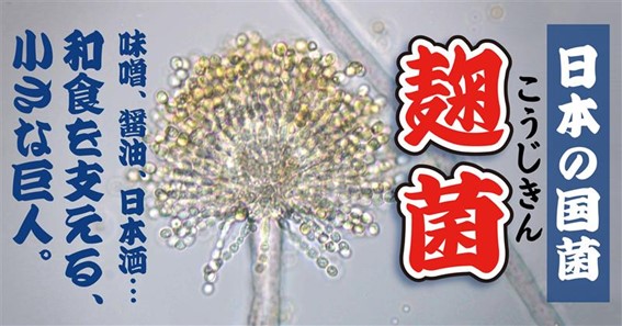 記事2画像1_メルマガ93号