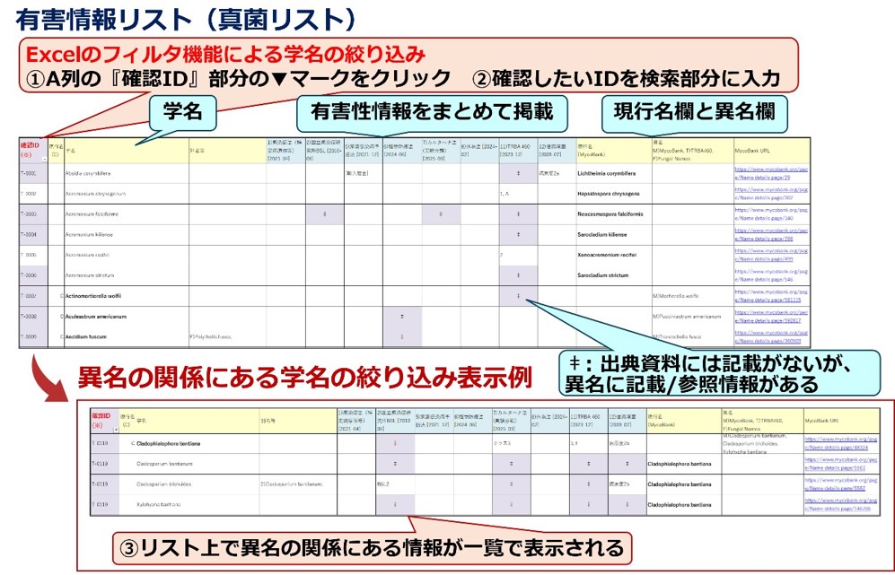 記事4画像1_メルマガ93号