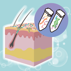 皮膚常在微生物カクテルアイコン画像です