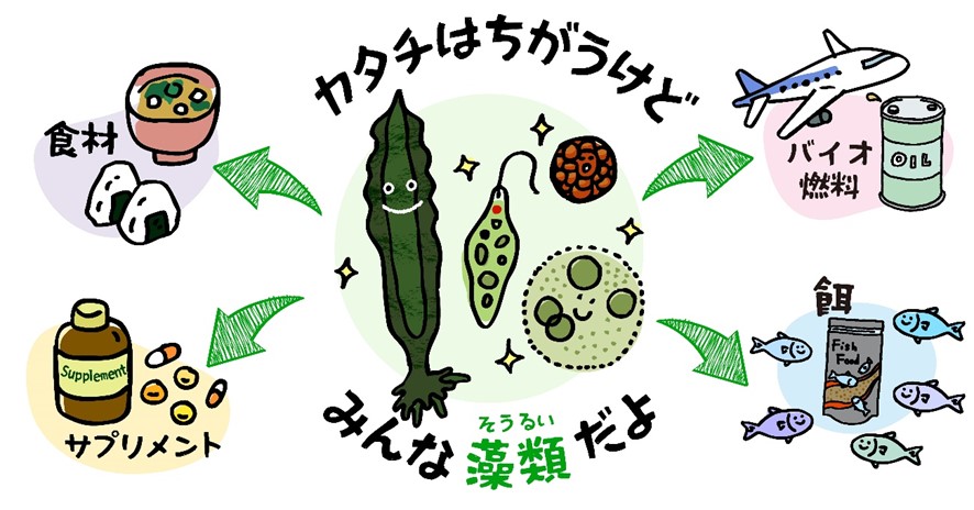 メルマガ94号_記事2_画像1r