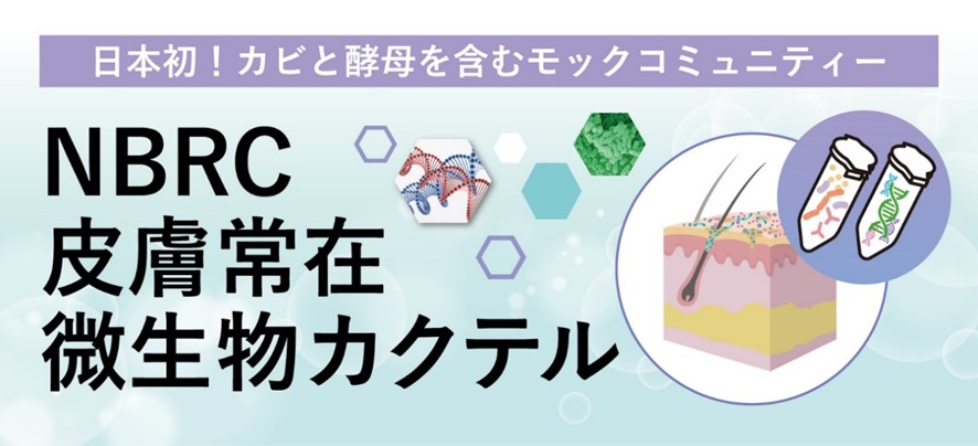 メルマガ94号_記事4_画像1r