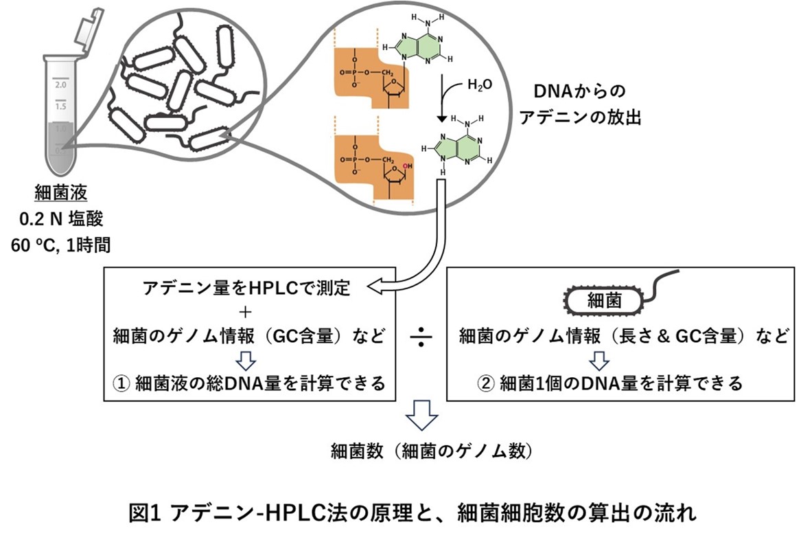 メルマガ94号_記事3_画像1r