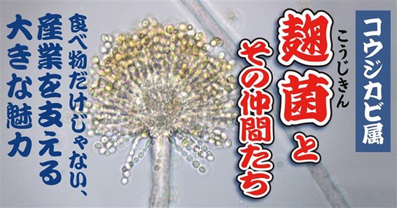 メルマガ95号_記事2_画像