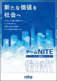 チームNITEの支援内容の要である評価制度構築支援に焦点をあてたパンフレットの表紙画像。パンフレットにはイノベーション実現のパートナーであるチームNITEが未来に繋がる挑戦を支援することについて書かれています。