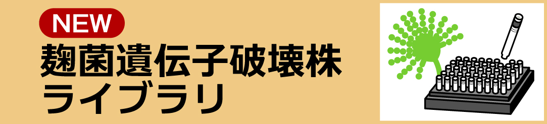麹菌菌遺伝子破壊株ページへのリンク。 分譲の手続き等をご案内しています。